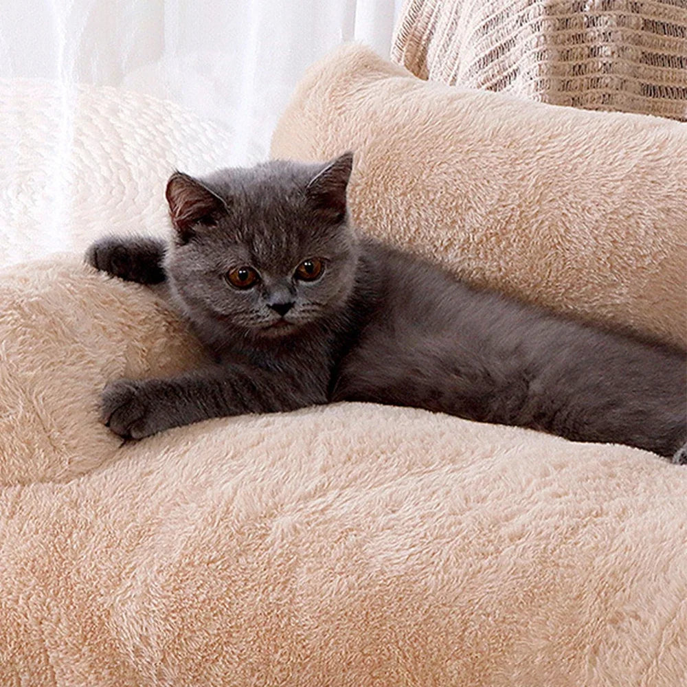 Bed Sofa Foam For Small Medium Dogs and cats. Various colors and sizes