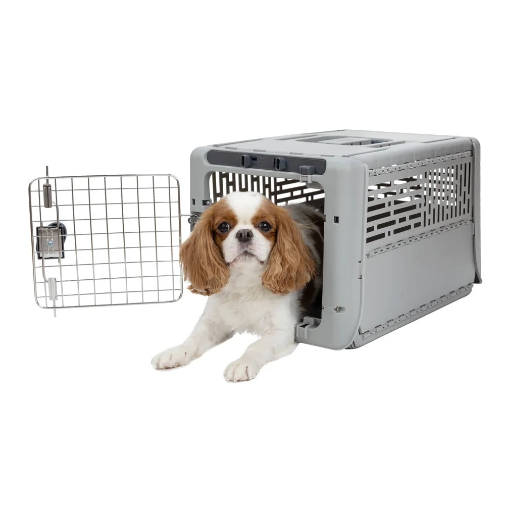 Collapsible Plasticl Portable Foldable Pet Carrier with Locking Metal Gate Ventilation Indoor Outdoor Use