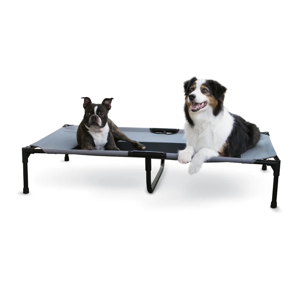Elevated Cot Large Dogs Cats Portable Easy Assembly with Removable Washable Cover Indoor Outdoor Use
