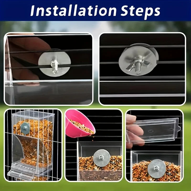 Transparent Automatic Bird Feeder