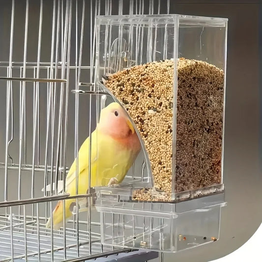 Transparent Automatic Bird Feeder