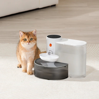 Dispenser Cat Water Fountain