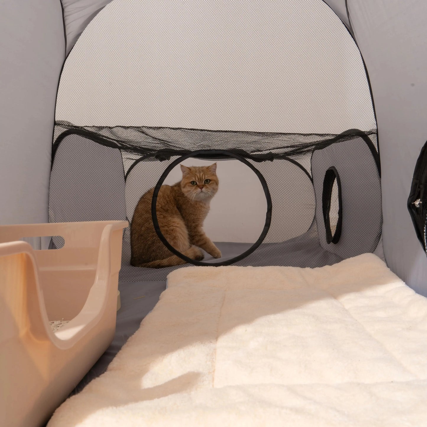Gray Cats and Dogs Hard Oxford Cloth with a Play Tunnel Foldable