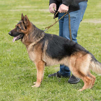 Military Adjustable Dog  Leash Quick Release Elastic Rope With 2 Control Handle For Medium and Small Dogs