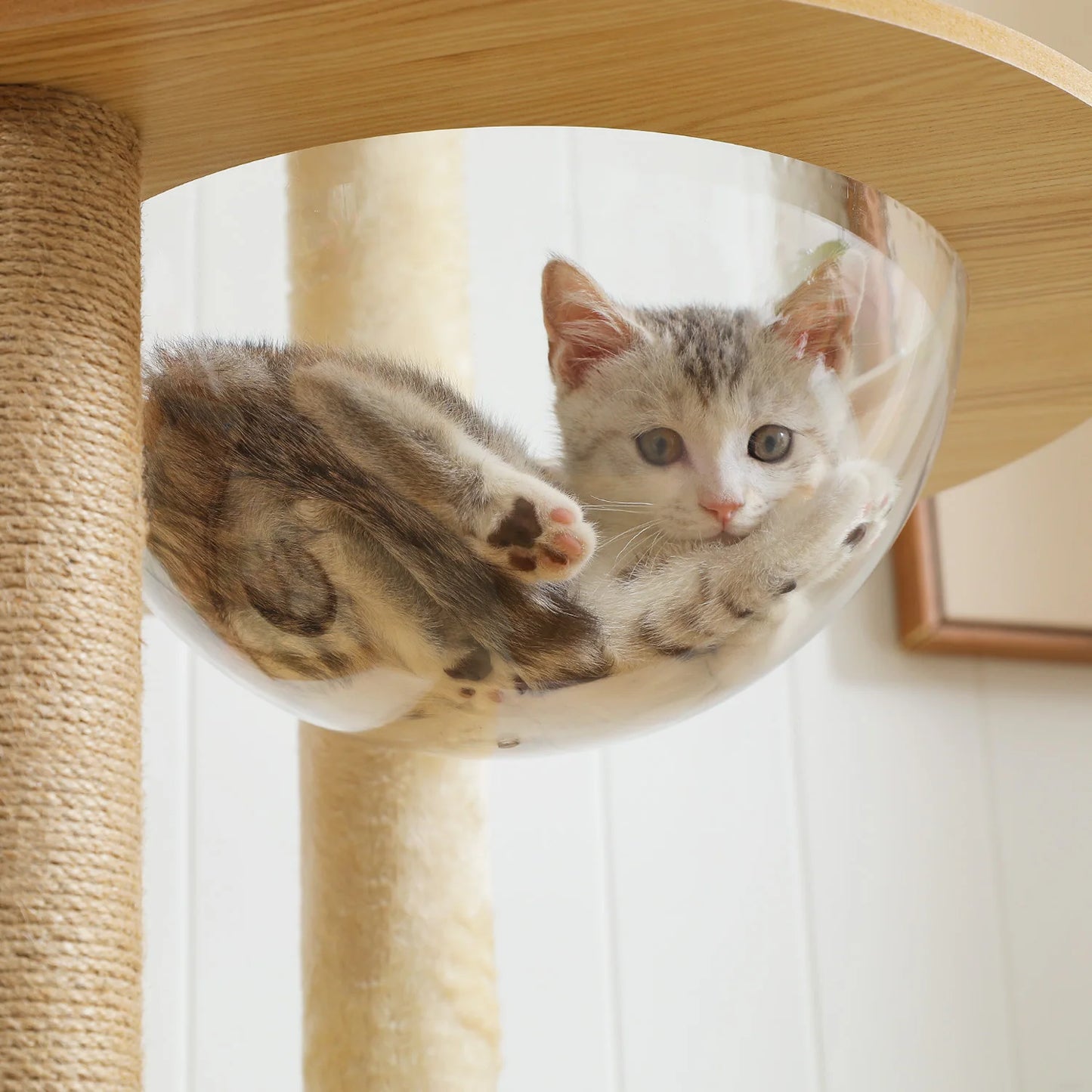 Multi-Level Cat Tree for Indoor Wood Tower with Scratching Posts