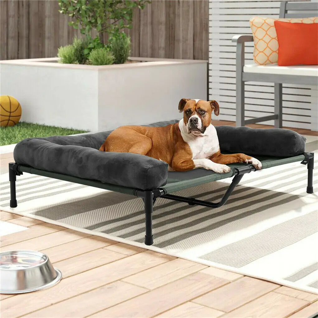 Dogs and Cats Indoor Outdoor Elevated Pet Lounger Bed with Detachable Plush Bolster L XL 2XL