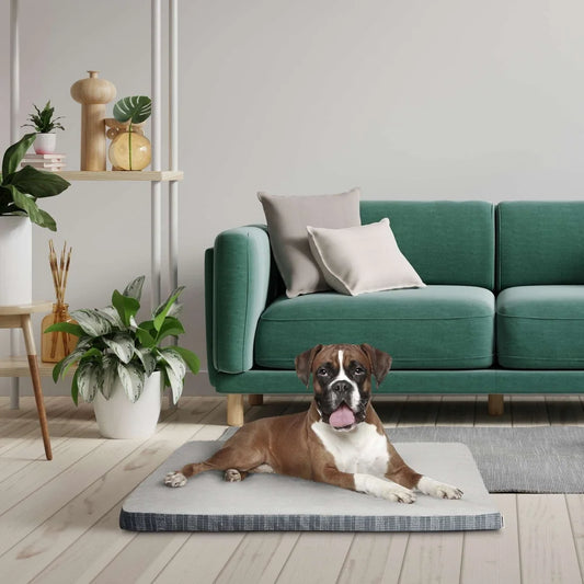 Large Orthopedic Dog Bed 36x27 Firm Foam Support Removable Machine Washable Cover