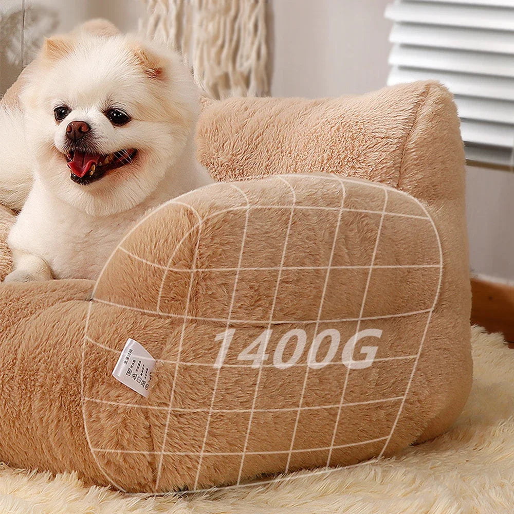 Bed Sofa  Foam For Small Medium Dogs and cats. Various colors and sizes