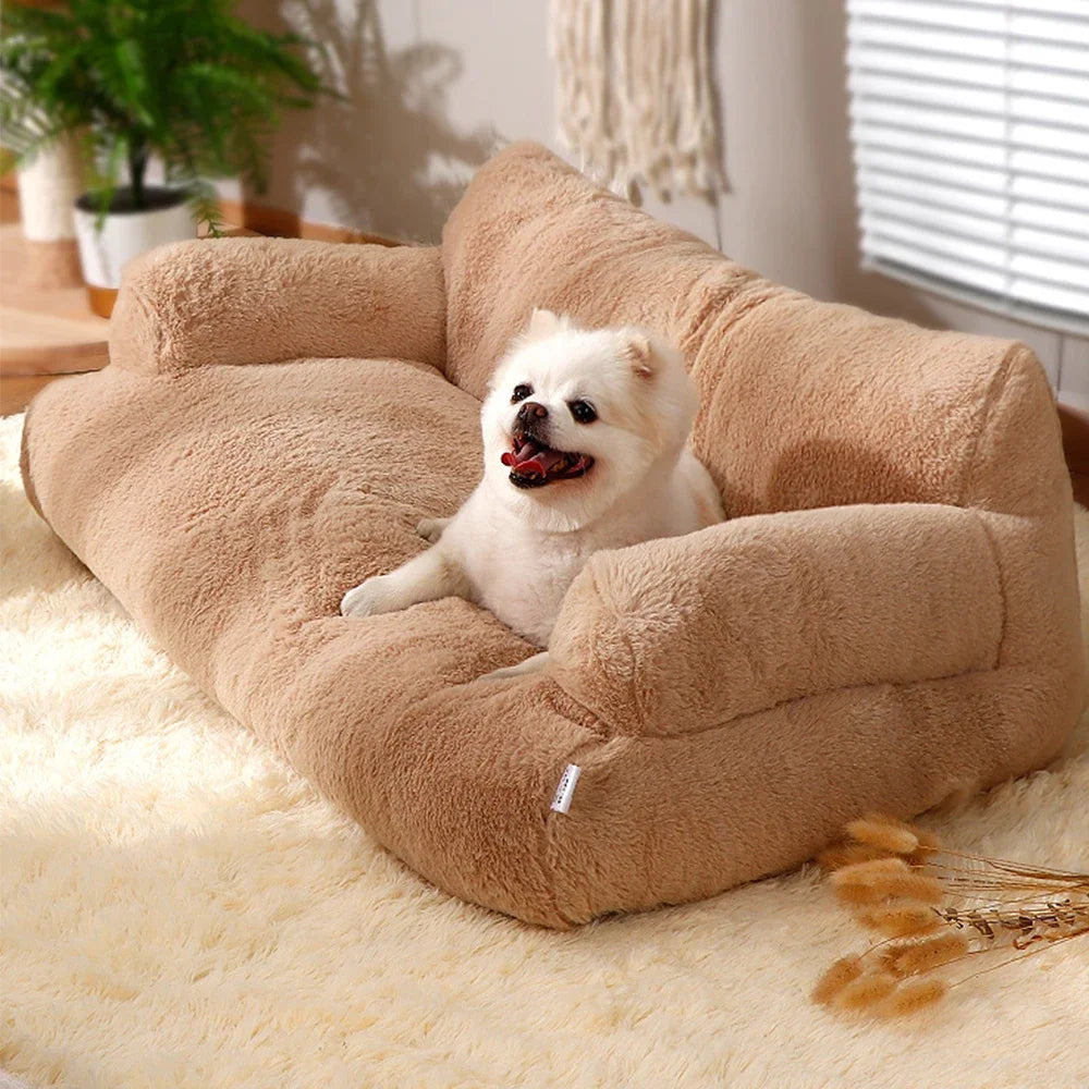 Bed Sofa  Foam For Small Medium Dogs and cats. Various colors and sizes