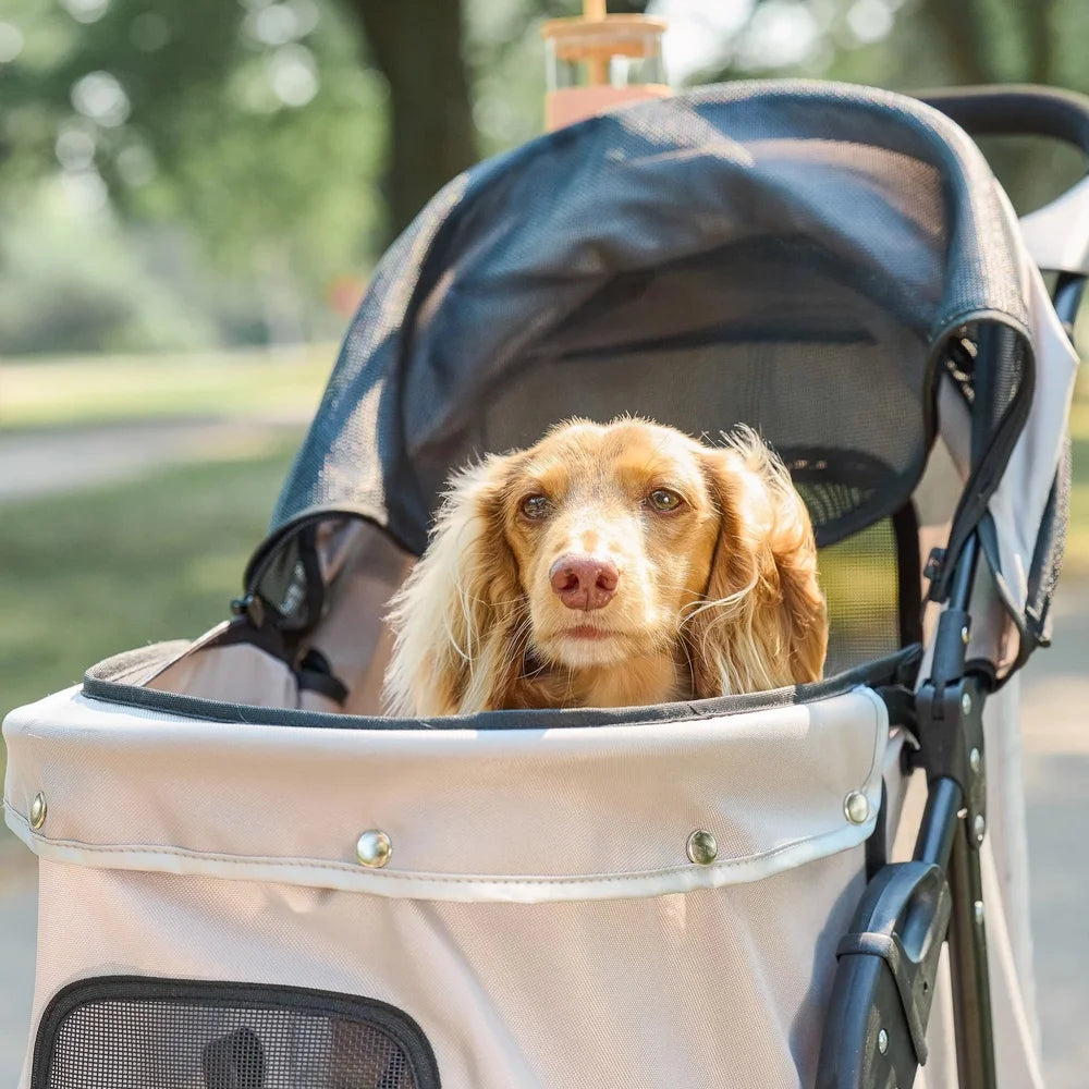 Portable Pet Stroller 360 Degree Swivel Wheels Mesh Canopy Reflective Trim Lightweight Foldable