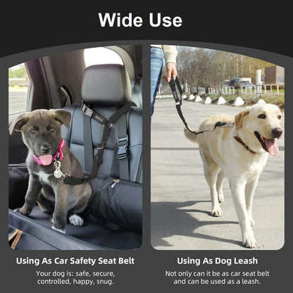 2 Sets of Car Seat Belts for Dogs and cats   Elastic and Durable Travel Safety Belt Tether    Universal for Cars and Trucks