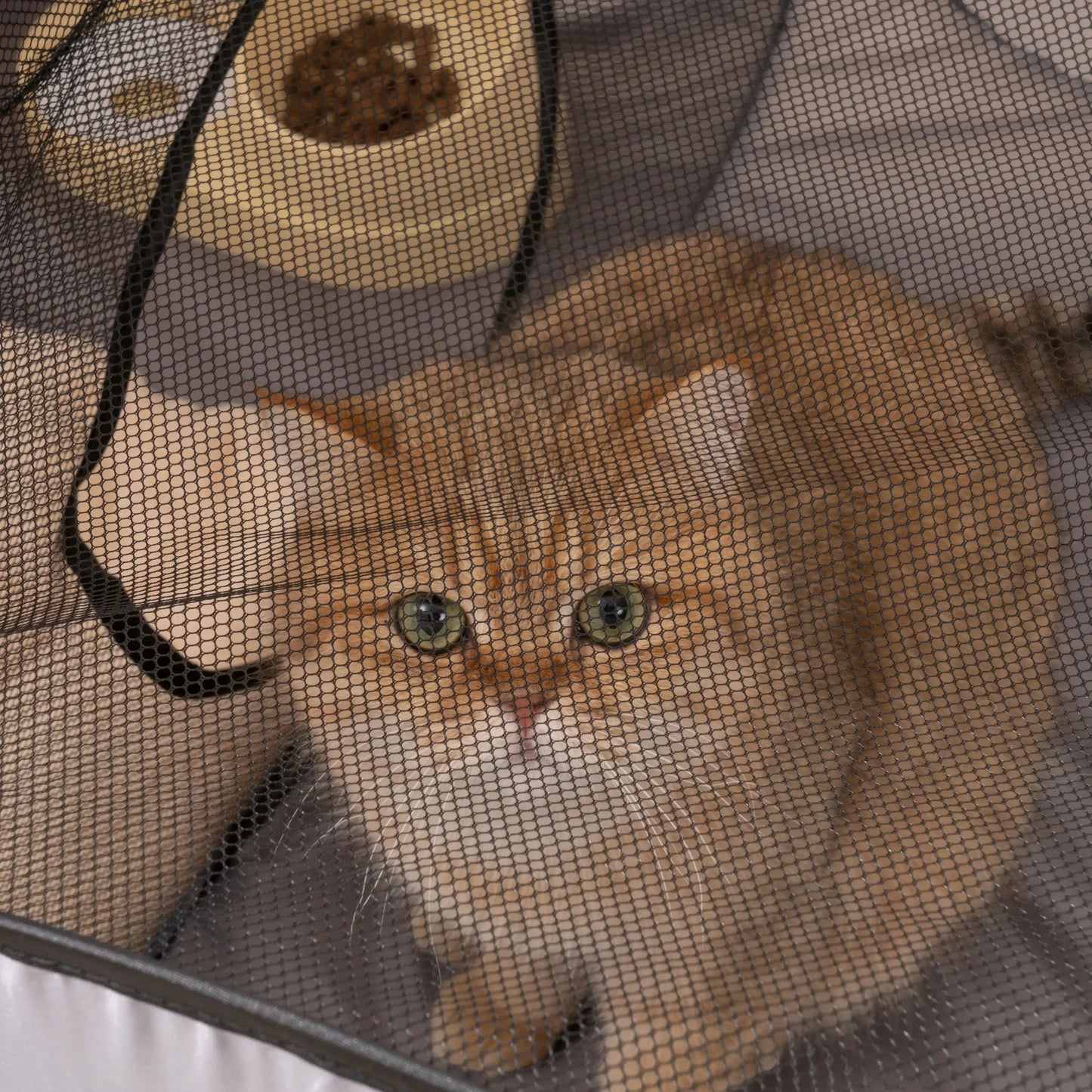 Gray Cats and Dogs Hard Oxford Cloth with a Play Tunnel Foldable