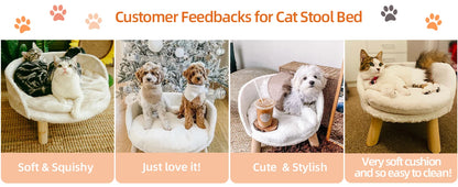 Ultra Soft Elevated Dog Cat  Backrest Stool Lounger with Removable Waterproof Padded Cushion