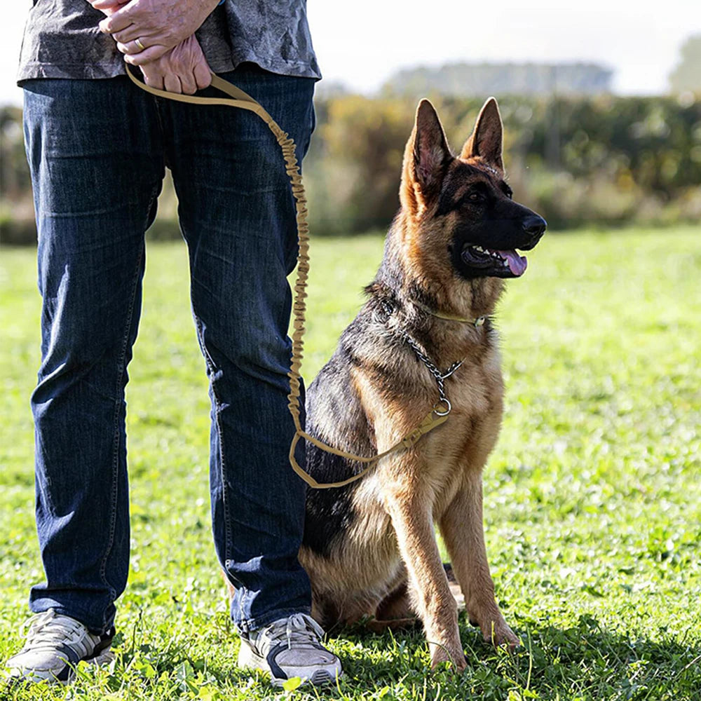 Military Adjustable Dog  Leash Quick Release Elastic Rope With 2 Control Handle For Medium and Small Dogs